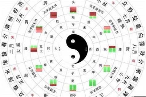 命運預測|生辰八字算命、五行喜用神查詢（免費測算）